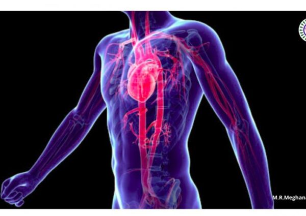 POST-COVID SYNDROME: HOW THE VIRUS AFFECTS THESE SIX ORGANS?