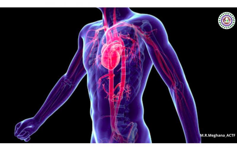 POST-COVID SYNDROME: HOW THE VIRUS AFFECTS THESE SIX ORGANS?