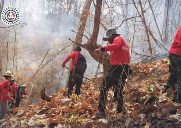 WHY FOREST FIRES BREAK OUT IN THE SPRING, AND WHY THEY HAVE BEEN SO FREQUENT THIS YEAR?